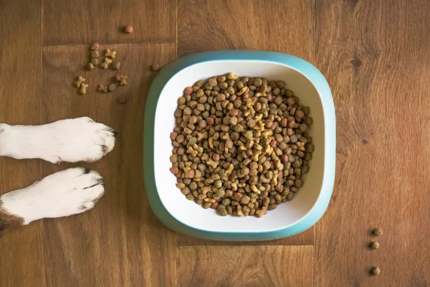 Pet Miyav Köpek Mamaları Profine