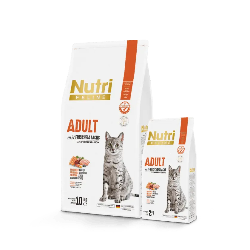Nutri Feline Kuru Kedi Maması